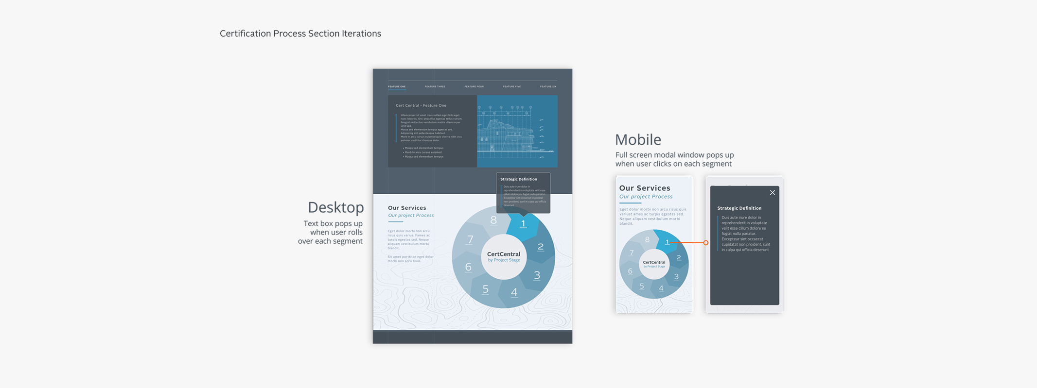 circular-graphic5-web